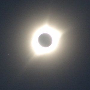 Meet your Posher, Dave